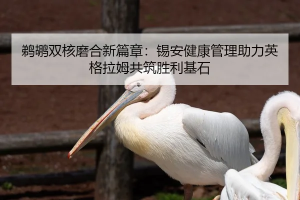 鹈鹕双核磨合新篇章：锡安健康管理助力英格拉姆共筑胜利基石