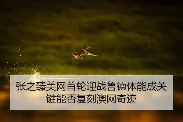 张之臻美网首轮迎战鲁德体能成关键能否复刻澳网奇迹